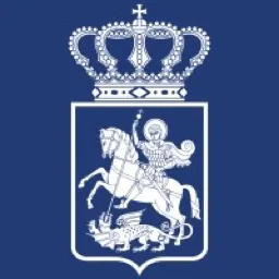 IT Agency — Ministry of IDPs, Labour, Health and Social Affairs of Georgia logo